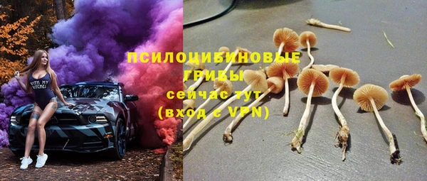 дживик Алзамай