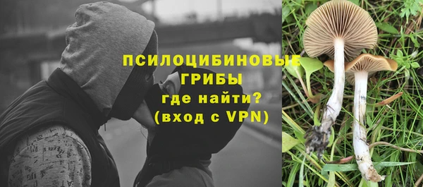 синтетический гашиш Алексин