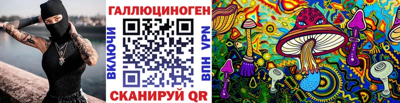 дарнет шоп  Буйнакск  Псилоцибиновые грибы MAGIC MUSHROOMS 